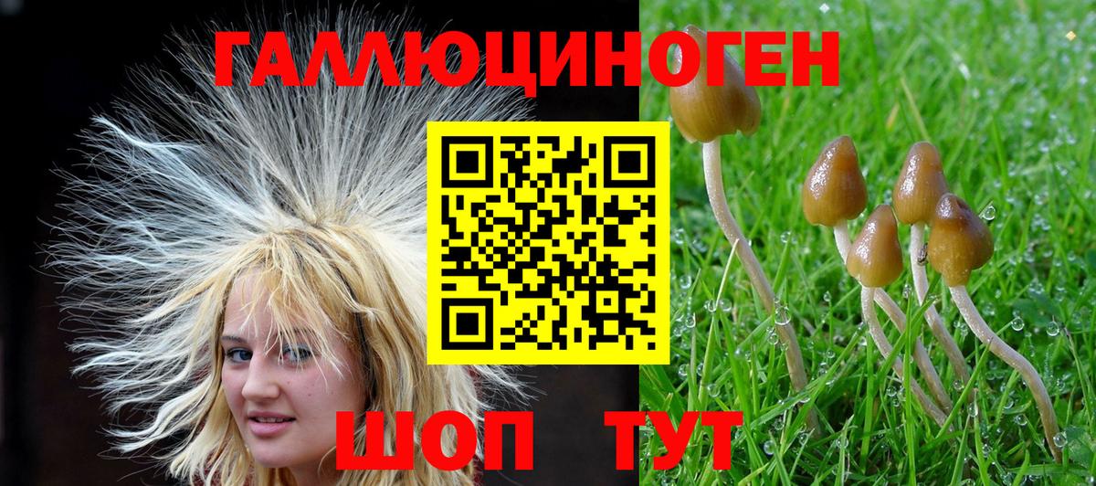 Гашиш  Конопля  ЭКСТАЗИ  NBOMe  Каменск-Шахтинский  КОКАИН  Вход с VPN  Мефедрон  
